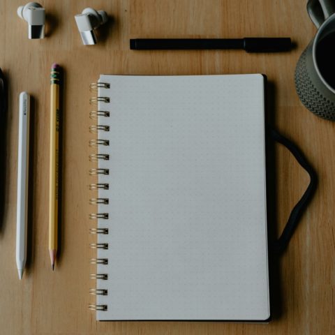 ✨ Une newsletter 100 % étudiante à découvrir !