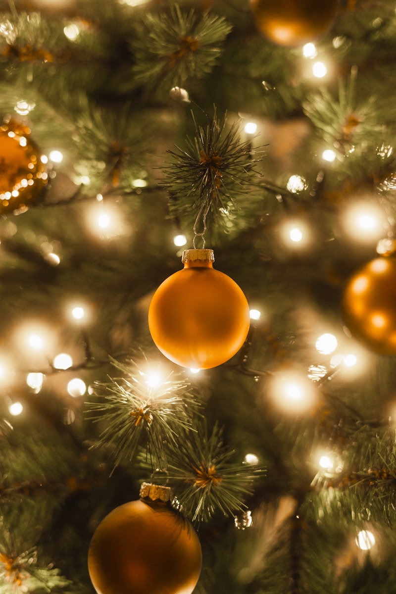 Close-up of a decorated christmas tree with lights.